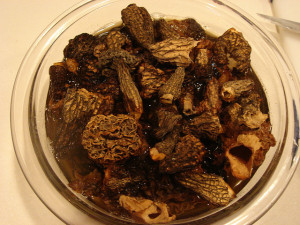 Reconstitute morels by SandiK4000