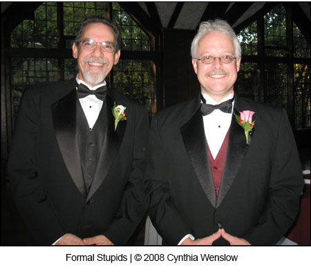 Formal Stupids by Cynthia Wenslow